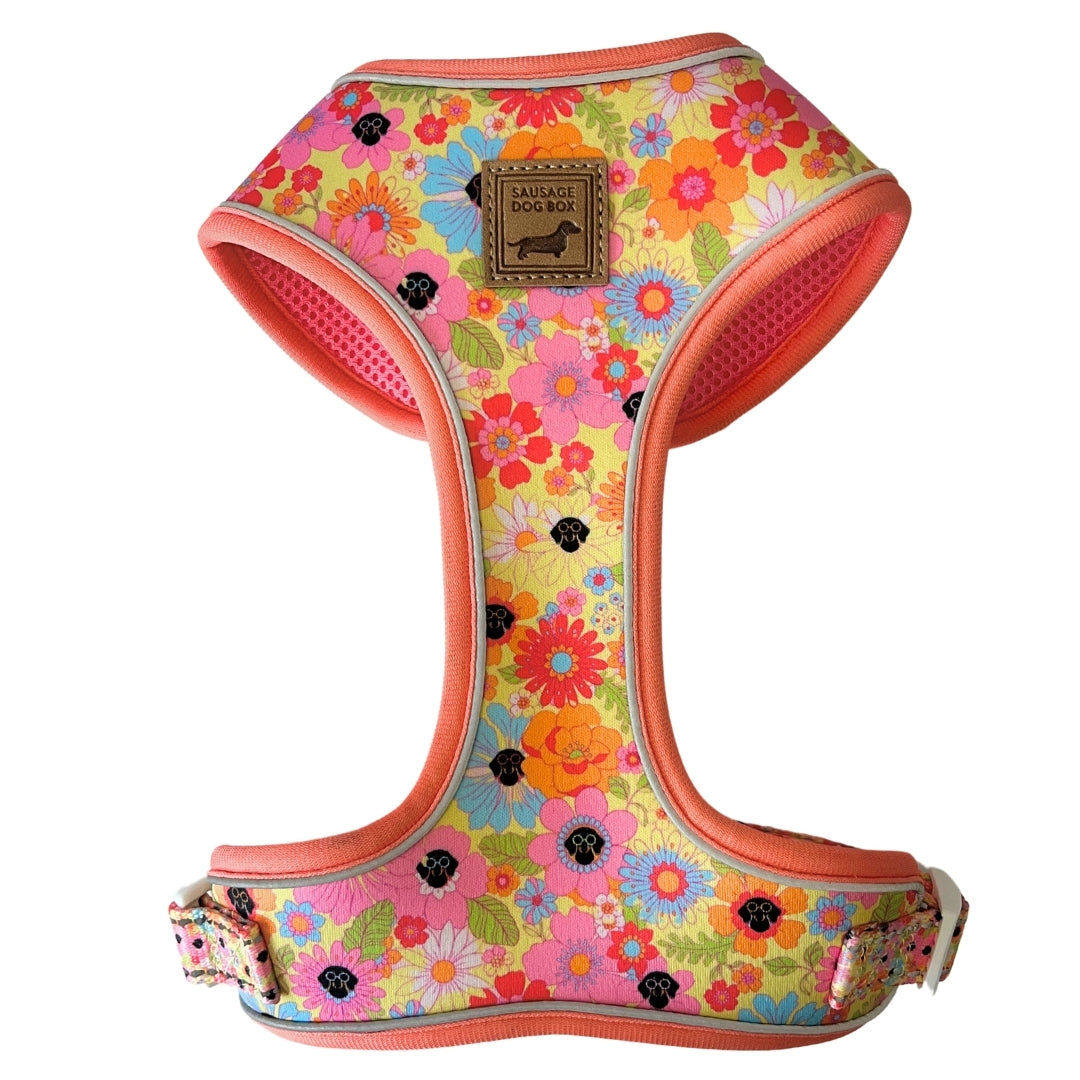 It's All Groovy Anti-Rub Dachshund Harness