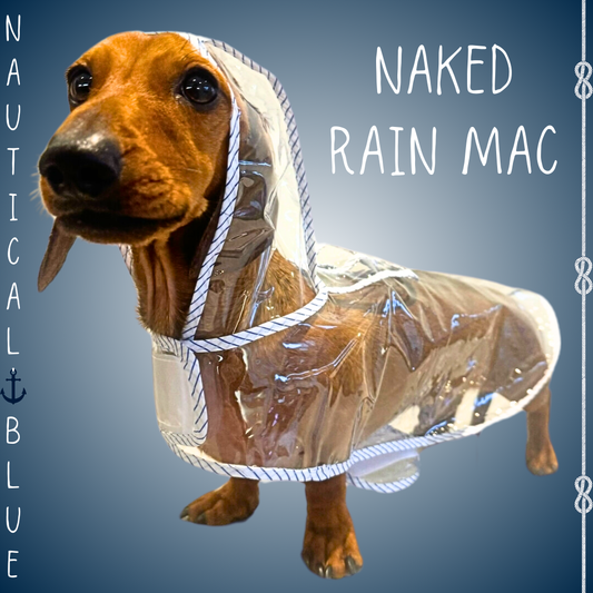 Nautical Blue Waterproof Naked Dachshund Coat / Rain Mac  | Sausage Dog Box