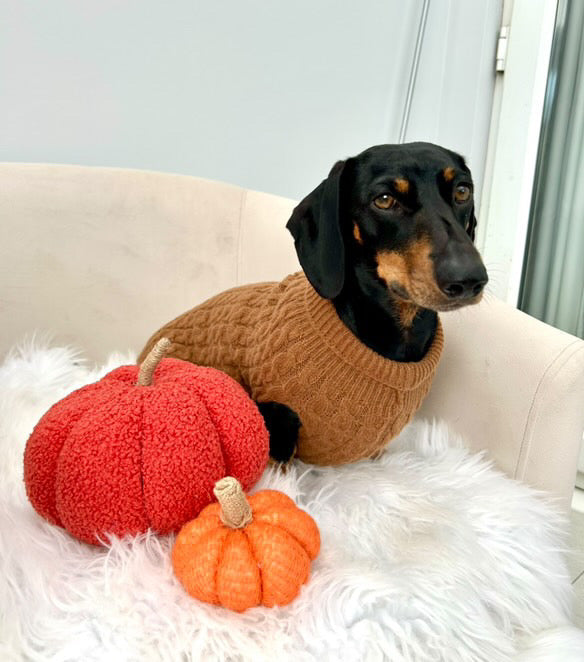 Gingerbread Cookie Luxury Cable Knit Dachshund Jumper - Sausage Dog Box