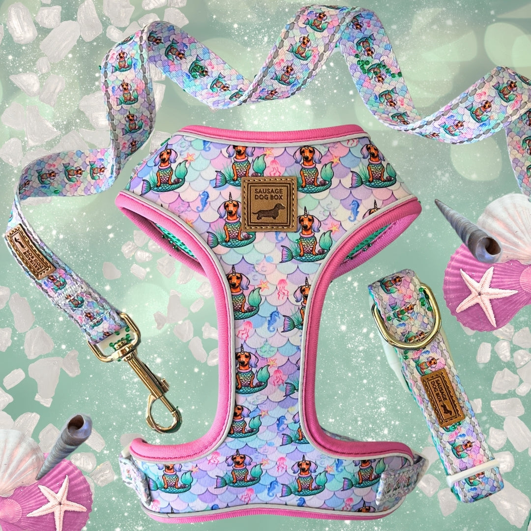 Under The Dox-Sea Anti-Rub Dachshund Harness