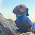 Load image into Gallery viewer, Azure Blue Waterproof Dachshund Harness Fleece | DoxieDri Jumper
