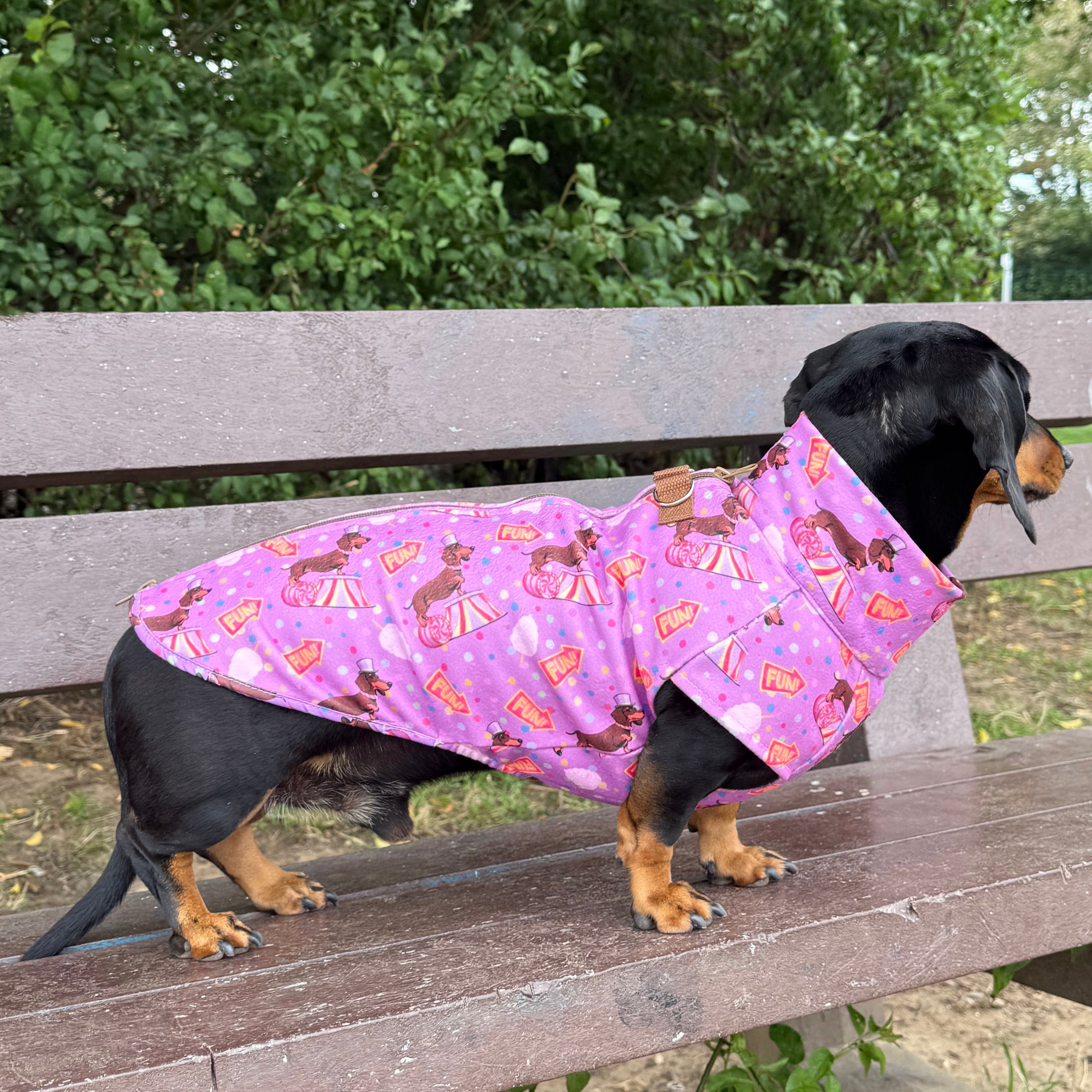 Fun Floss Purple Circus Dachshund Fleece Jumper / Sweater | Sausage Dog Box