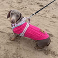 Load image into Gallery viewer, A Dach Of Sweetness Anti-Rub Dachshund Harness - Sausage Dog Box
