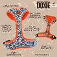 Load image into Gallery viewer, Action-Dax Anti-Rub Dachshund Harness
