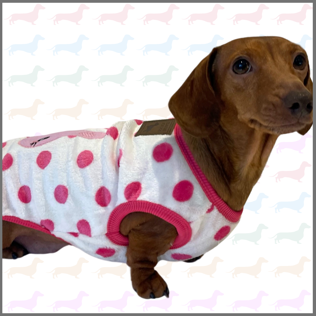 Pink Bunny Hop - Sausage Dog Box Dachshund PJ's/Jumper