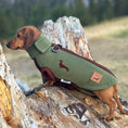 Load image into Gallery viewer, Pistachio Waterproof Dachshund Harness Fleece | DoxieDri by Sausage Dog Box
