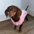 Load image into Gallery viewer, Pink ‘Mini Love Hearts’ Sausage Dog Box Puppy Pj Jumper
