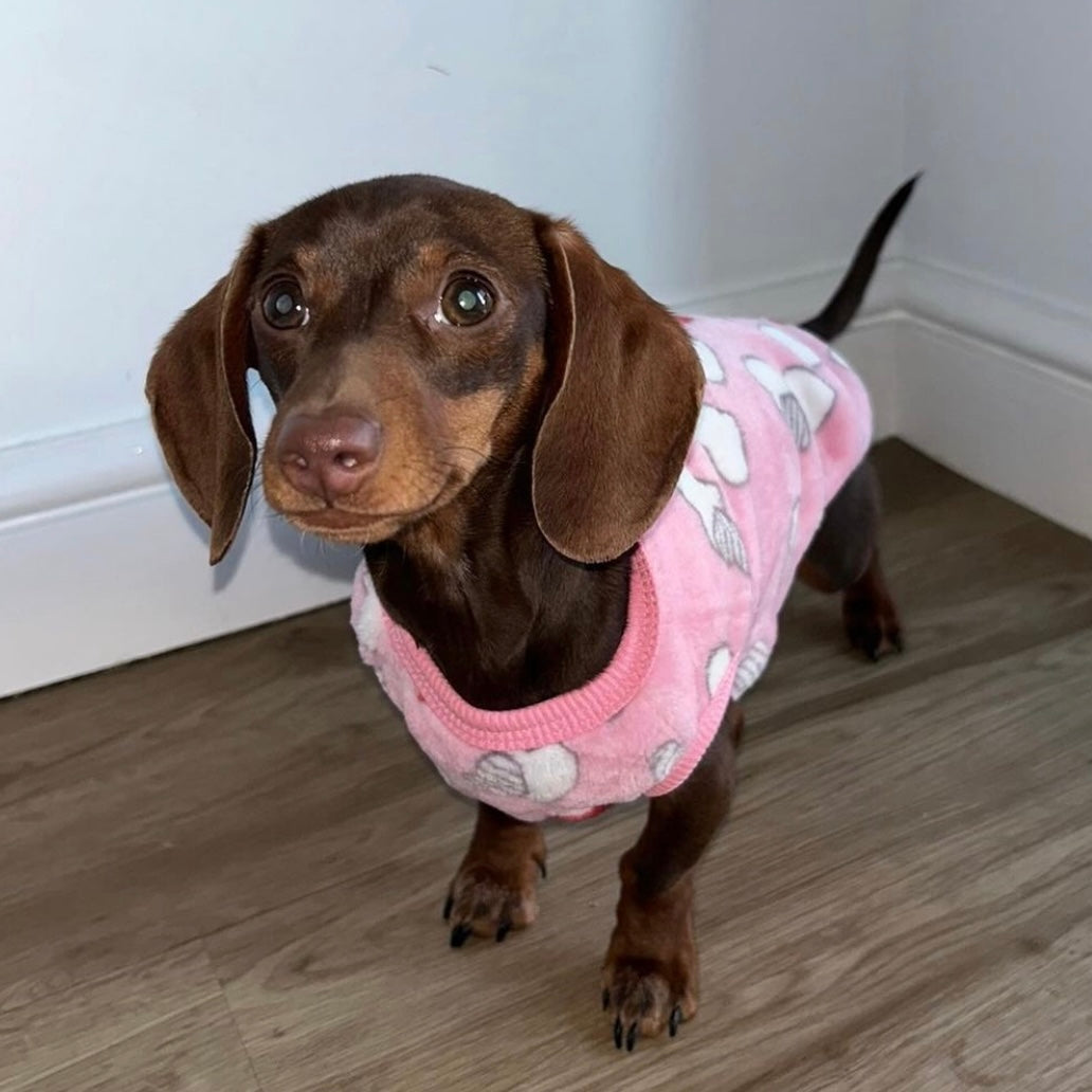 Pink ‘Mini Love Hearts’ Sausage Dog Box Puppy Pj Jumper