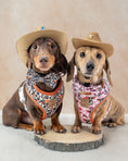 Load image into Gallery viewer, Howdy Cowboy Anti-Rub Harness for Dachshunds / Adjustable Sausage Dog Harness
