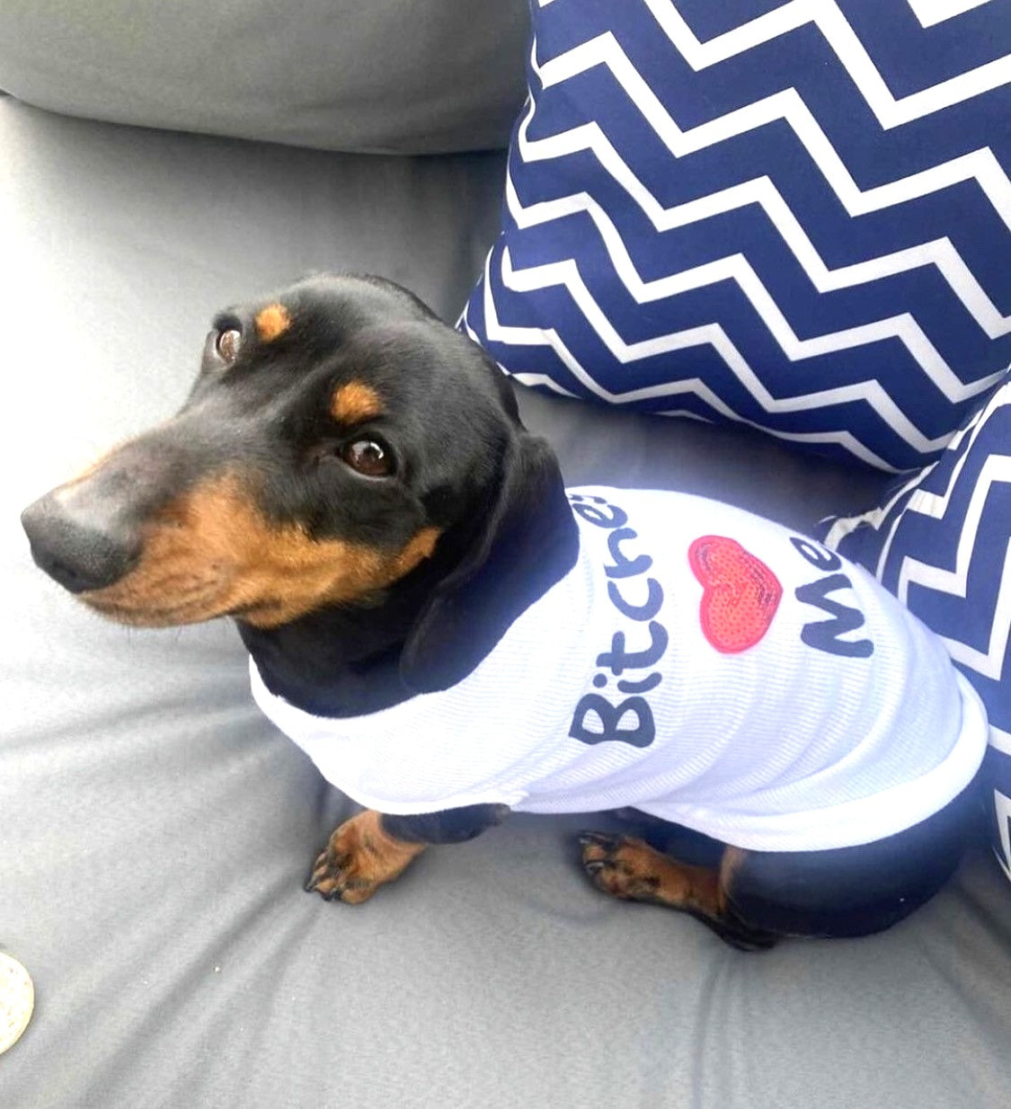 CLEARANCE - Sausage Dog Box B*tches Love Me Vest