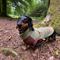 Load image into Gallery viewer, Pistachio Waterproof Dachshund Harness Fleece | DoxieDri by Sausage Dog Box
