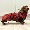 Load image into Gallery viewer, Sausage Dog Box Perfect Fit Dachshund Coat - Tart’n Up
