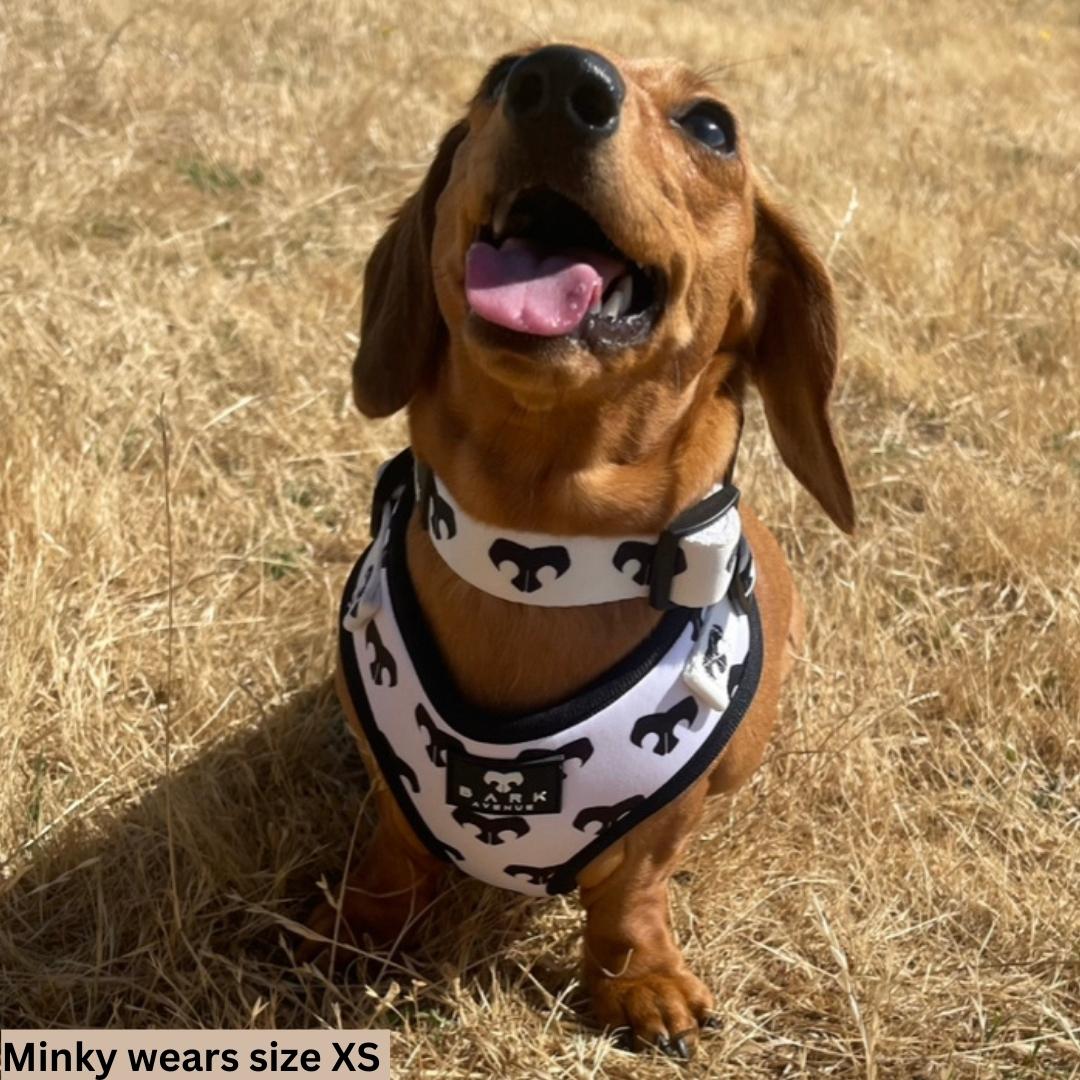 BARK AVENUE Adjustable Harness - 3 colours