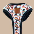 Load image into Gallery viewer, Anti-Rub Dachshund Harness - Weiner On Wheels
