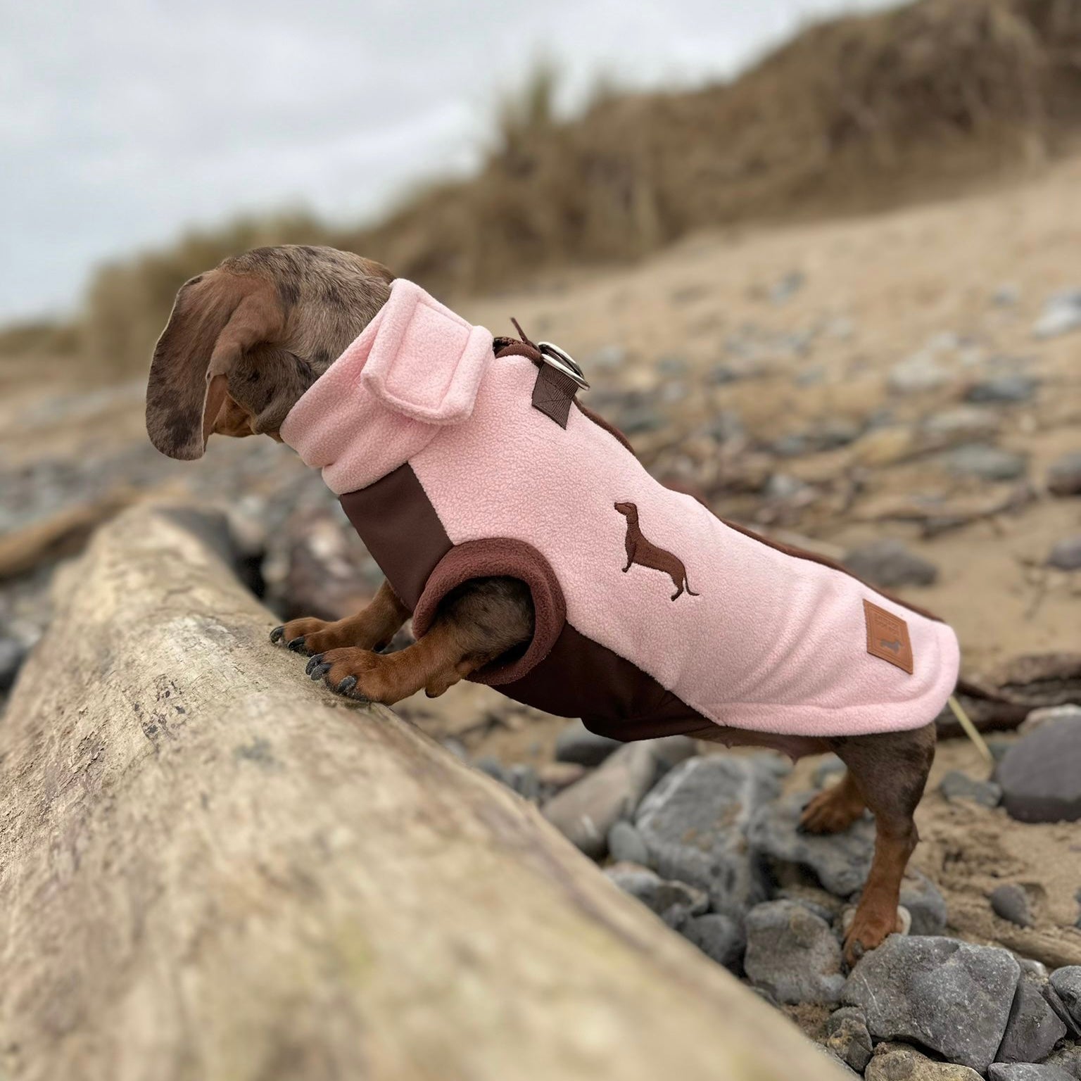 Strawberry Truffle DoxieDri Sausage Dog Harness Jumper