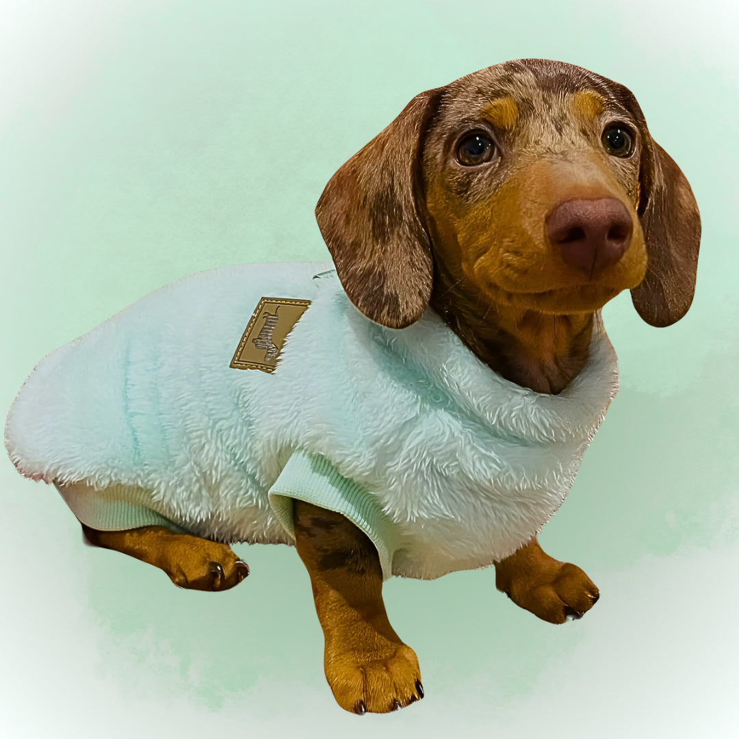 XXS Tiny Puppy Snuggle Dachshund Fleece - 20cm / 8inch Back | Sausage Dog Box