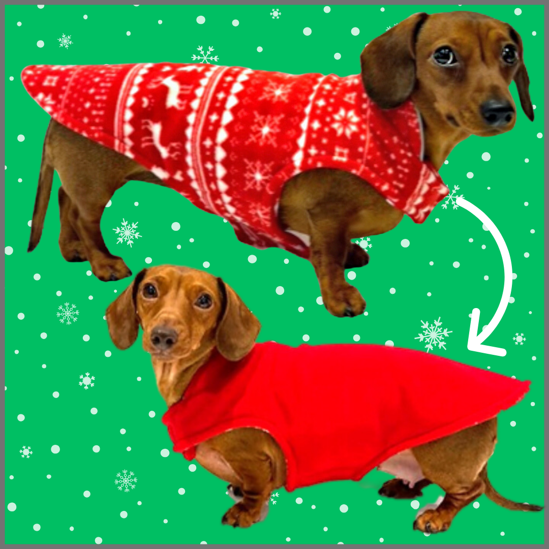 Sausage Dog Box Reversible Christmas Fleece Coat
