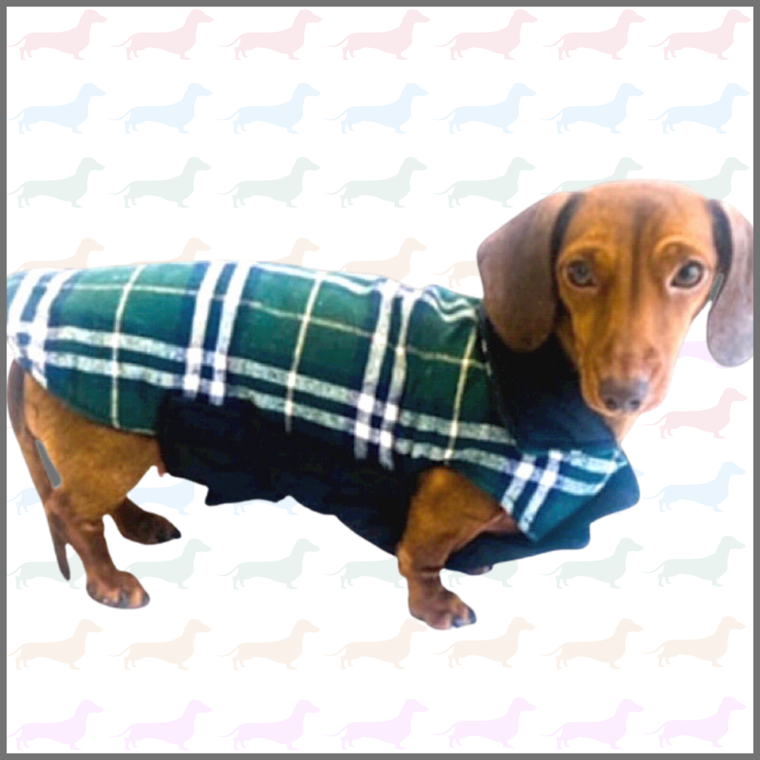 Sausage Dog Box, Dachshund Reversible Plaid Coat Green
