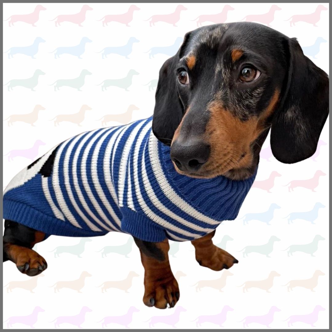 CLEARANCE - Sausage Dog Box Dachshund Panda Jumper