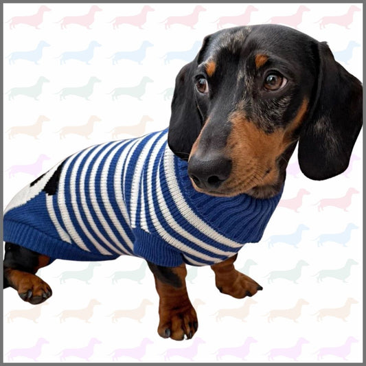 CLEARANCE - Sausage Dog Box Dachshund Panda Jumper
