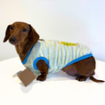 Load image into Gallery viewer, Speedy Snail - Sausage Dog Box Dachshund PJ's/Jumper
