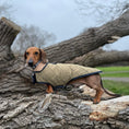 Load image into Gallery viewer, Evergreen Country Plaid Sherpa Lined Dachshund Dog Parker Jacket For Sausage Dog
