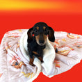 Load image into Gallery viewer, Blanket - Saucy Sausage
