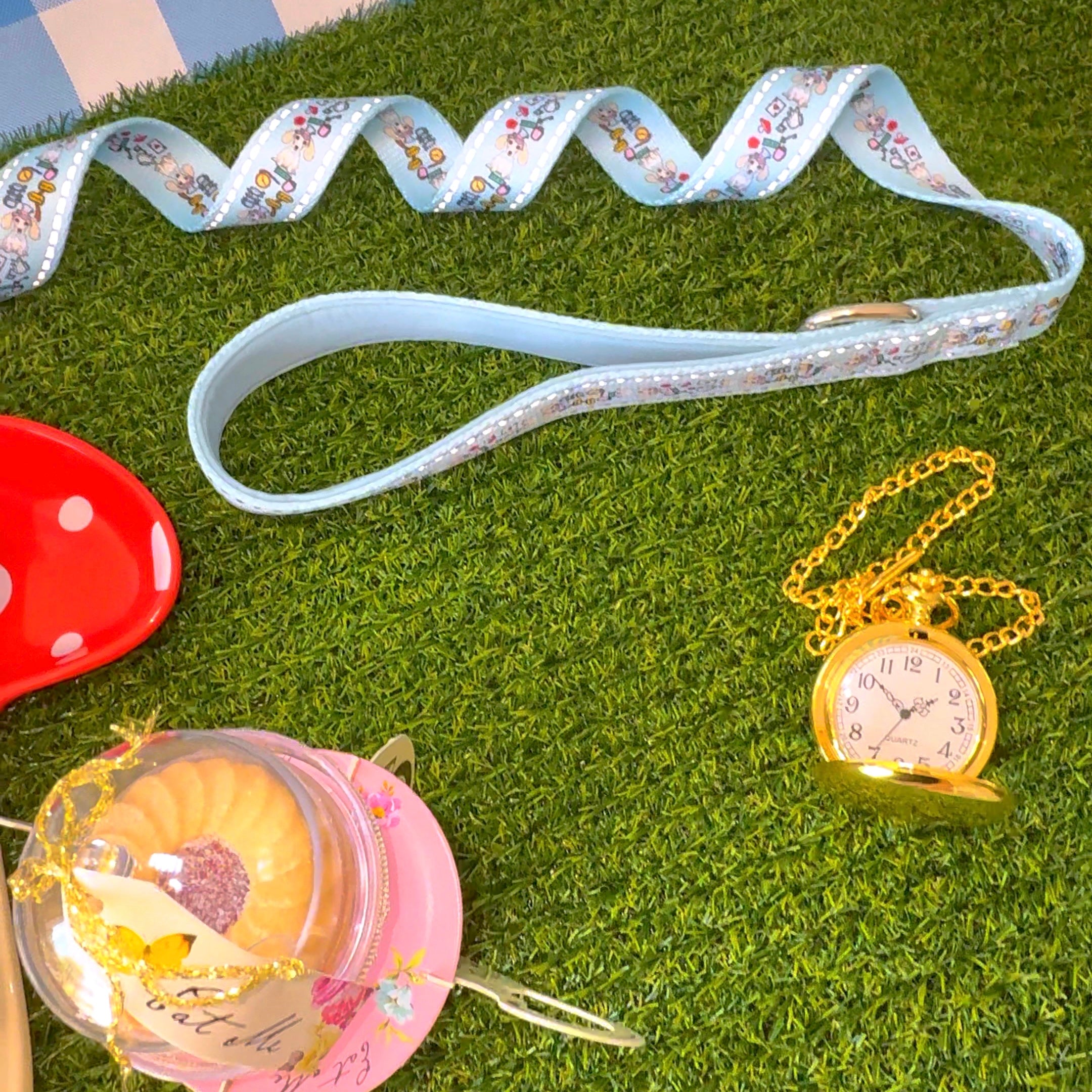 Dachshund Wonderland Sausage Dog Walking Lead