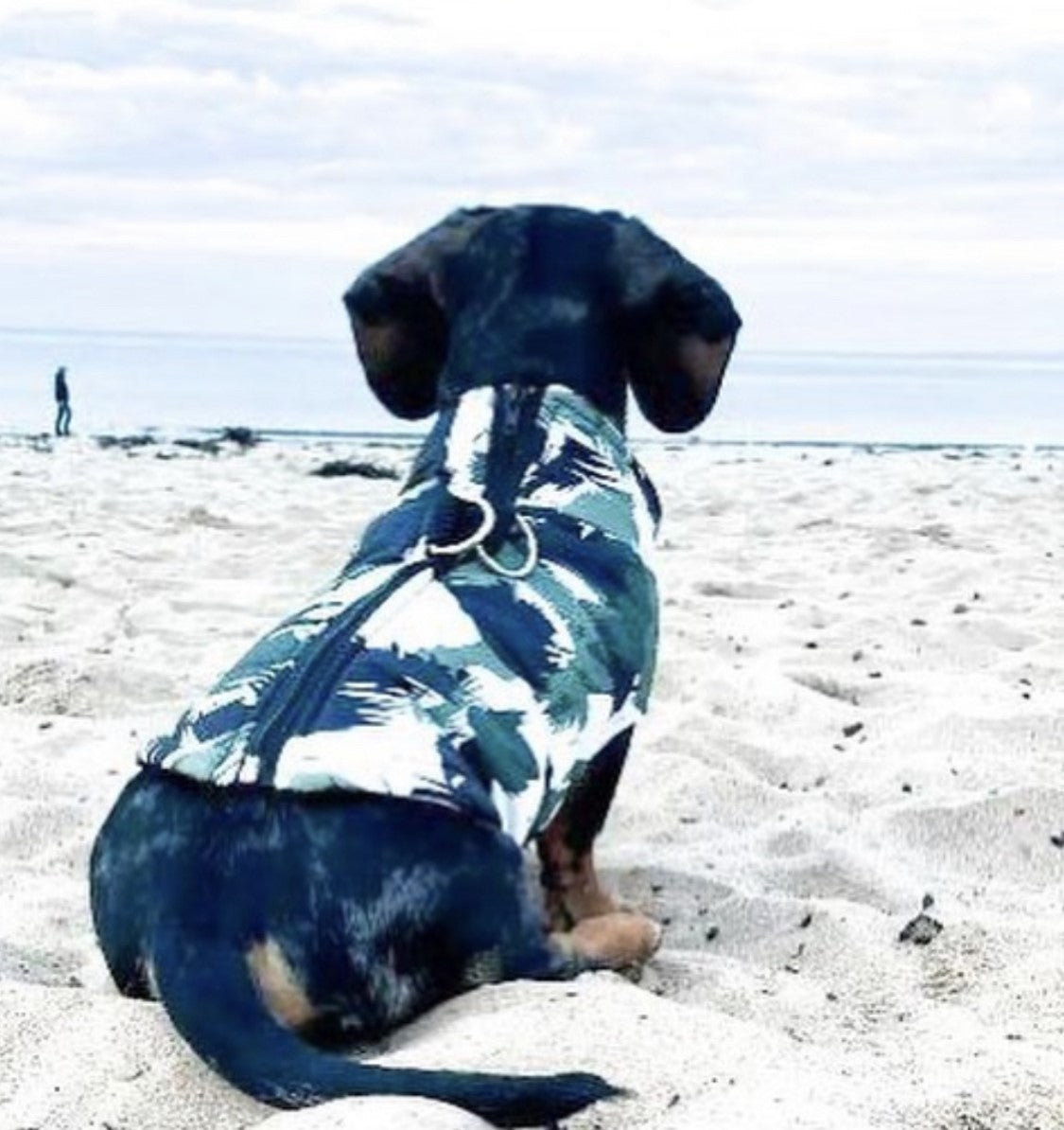 CLEARANCE - Sausage Dog Box Waterproof Step In Puffer Coat - Khaki Print