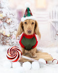 Load image into Gallery viewer, Mistletoe Kisses Waterproof Dachshund Harness Fleece | Sausage Dog Box DoxieDri

