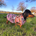 Load image into Gallery viewer, Howdy Cowgirl 'Dach-A-Mac' Dachshund Rain Mac In Bag
