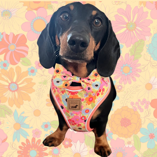It's All Groovy Anti-Rub Dachshund Harness
