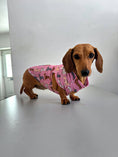 Load image into Gallery viewer, Pink Sophisticated Sausage Dachshund Dog Cooling Vest | DoxieCool

