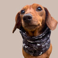 Load image into Gallery viewer, Black Twilight Doxie Dachshund Dog Snood
