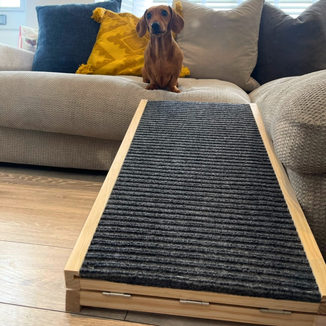 Sausage Dog Box Standard Dachshund Ramp - Adjustable