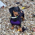 Load image into Gallery viewer, Spiced Twilight Waterproof Dachshund Harness Fleece | Sausage Dog Box DoxieDri
