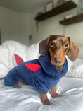 Load image into Gallery viewer, Sausage Dog Box Dachshund Shark Outfit
