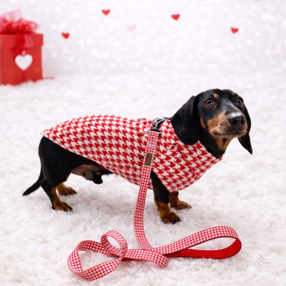 Red Houndstooth Dachshund Fleece Long Dog Zipper Valentines Jumper