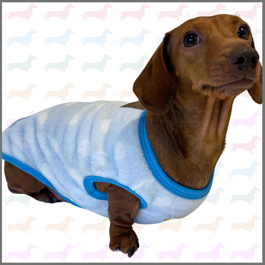 Blue Chirp Birdy - Sausage Dog Box Dachshund PJ's/Jumper