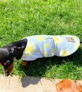 Load image into Gallery viewer, Sausage Dog Box Dachshund Designer Daisy Jacket Coat
