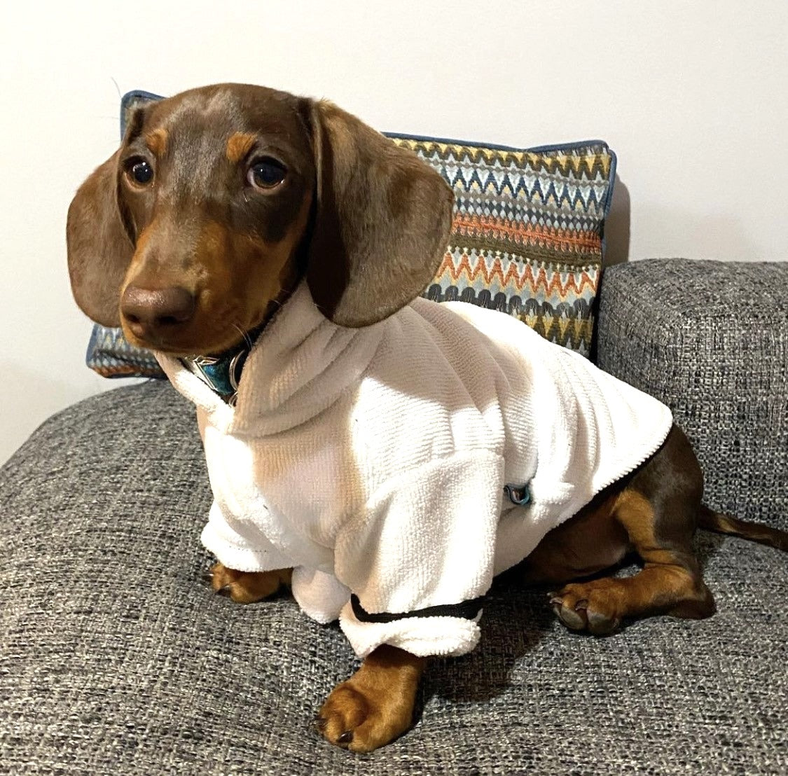 CLEARANCE - Sausage Dog Box, Dachsund Dressing Gown / Bath Robe