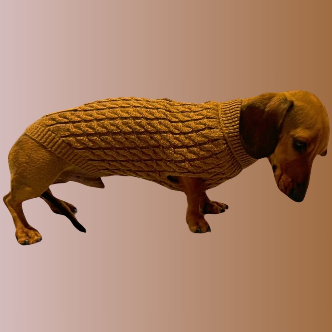 Gingerbread Cookie Luxury Cable Knit Dachshund Jumper - Sausage Dog Box