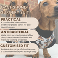 Load image into Gallery viewer, Antibacterial Dachshund Dog Surgery Suit | Sausage Dog Recovery / Allergy Outfit
