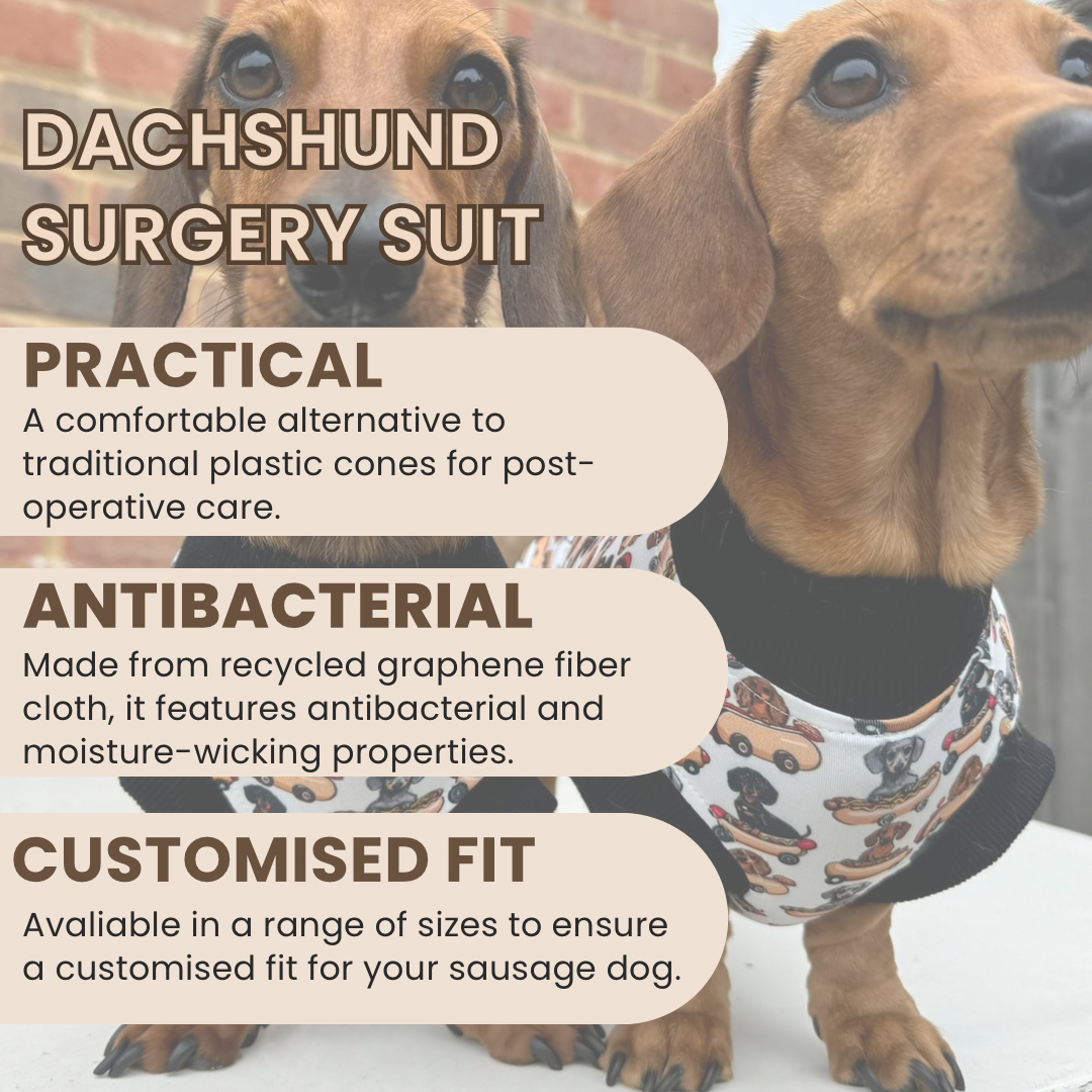 Sophisticated Sausage Antibacterial Dachshund Dog Surgery Suit