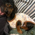 Load image into Gallery viewer, Beige Twinkle Twinkle - Sausage Dog Box Dachshund PJ's/Jumper
