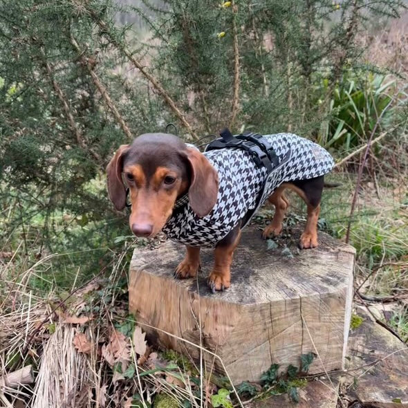 Sausage Dog Box Perfect Fit Dachshund Coat - Houndstooth