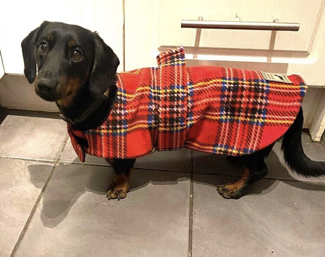 Sausage Dog Box Designer Fleece Waterproof 'Tartan' Dachshund Coat