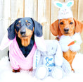 Load image into Gallery viewer, Dachshund Bunny Outfit
