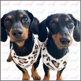 Load image into Gallery viewer, Sausage Dog Box, Dachshund Leopard Cute Cosy Dachshund PJ's Jumper
