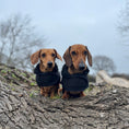 Load image into Gallery viewer, Black Cougar Sherpa Lined Dachshund Dog Coat / Parker Jacket For Sausage Dogs
